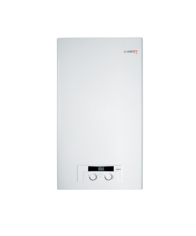 Котел газовый Protherm "Рысь" 24 HK
