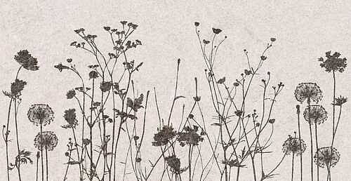 декор Creto Flamel