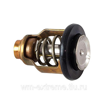 Термостат 60/90' С