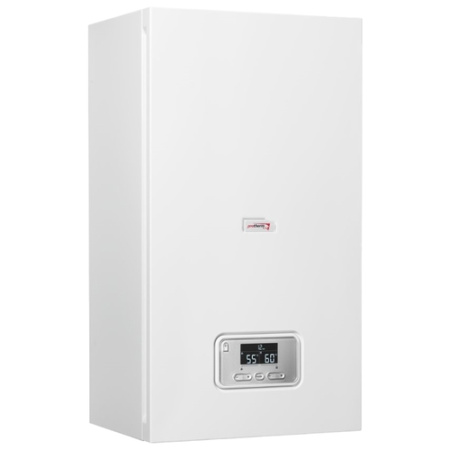 Котел электрический Protherm Скат 21КE RAY