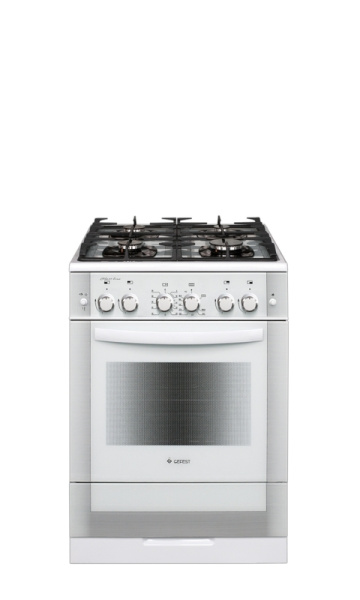 Плита газовая Гефест ПГ 6500-02 0042