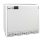 Котел газовый Protherm 100 KLO "Гризли"