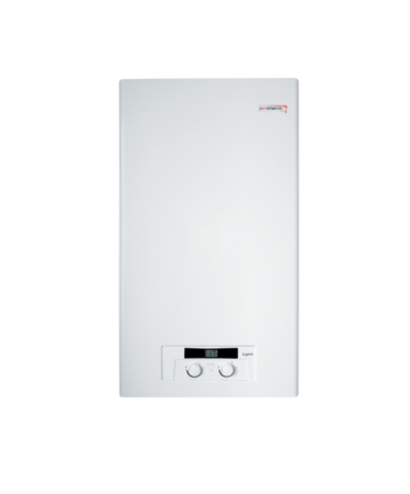 Котел газовый Protherm "Рысь" 24 HK
