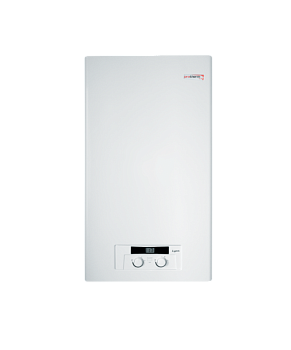 Котел газовый Protherm "Рысь" 24 HK