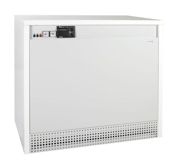 Котел газовый Protherm 100 KLO "Гризли"