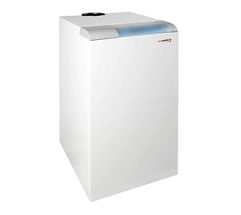 Котел газовый Protherm 50 KLOM "Медведь"